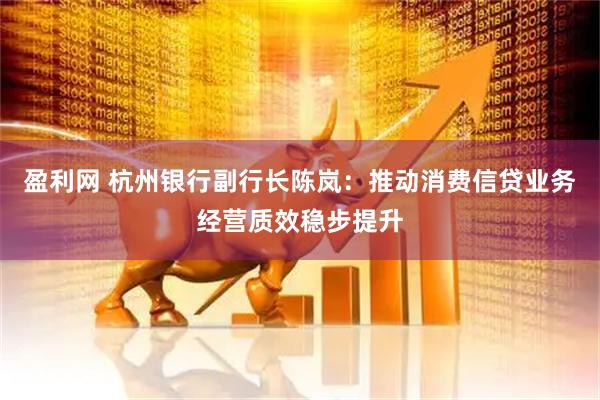 盈利网 杭州银行副行长陈岚：推动消费信贷业务经营质效稳步提升